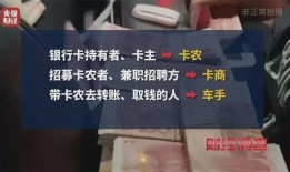 网红洗钱新闻爆料案例,一场网络狂欢背后的金融陷阱